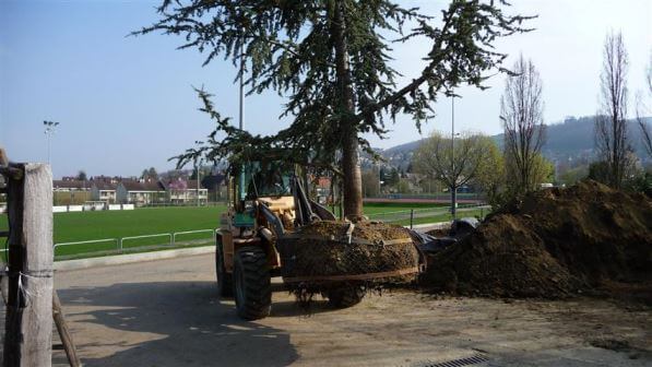 baum-faellen-basel-baumpflege-19.jpg