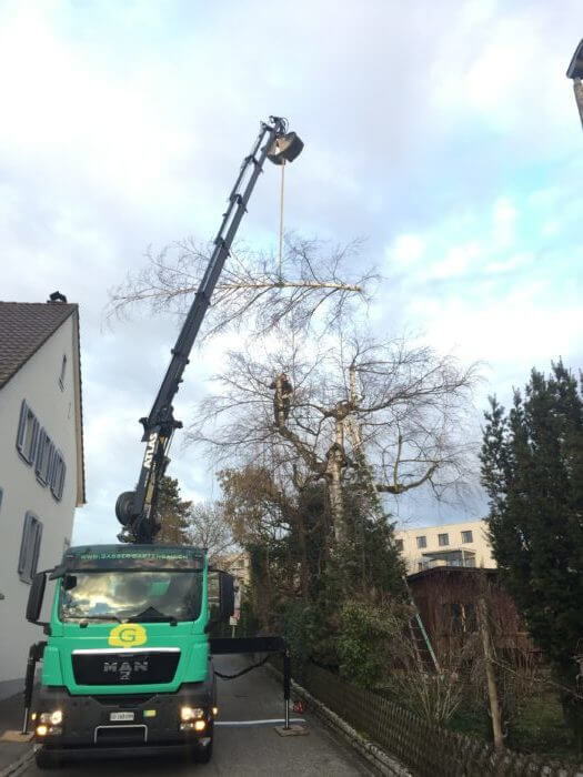 baum-faellen-basel-baumpflege-9.jpg